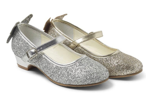 Anna shoe silver