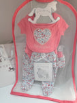 Princess5 piece gift bag babygrows set