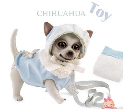 Aron Chihuahua